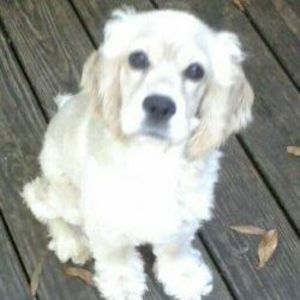 Meet your Posher, Carla